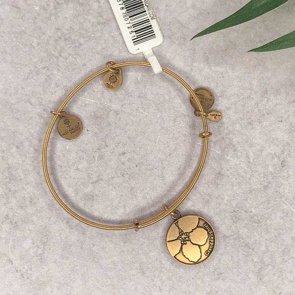 Alex and Ani Jewelry - NWT Alex & Ani Gold Granddaughter Bangle Bracelet